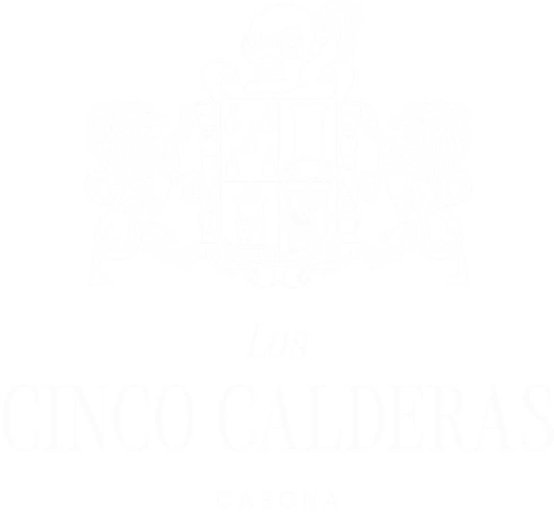 TiendaOnlineCalderas