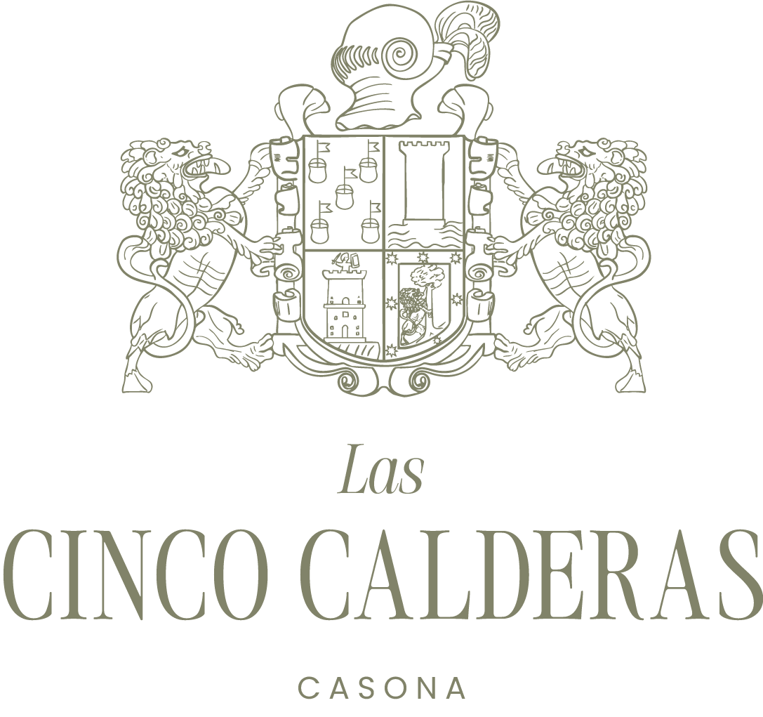 logo cinco calderas