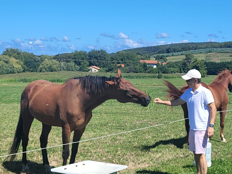 casona cinco calderas posada encanto cantabria blog 4
