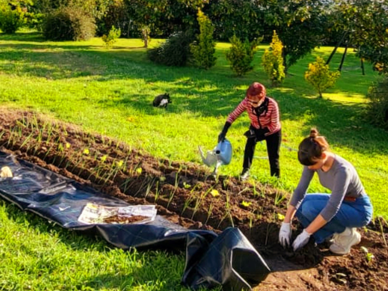 ¡Comenzamos con nuestro huerto!