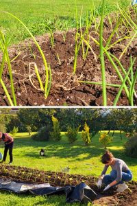 casona cinco calderas huerto ecologico