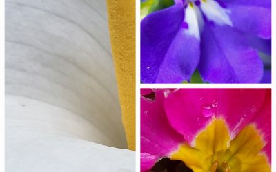 Volver a conectar con la naturaleza