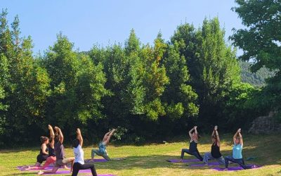 Descubre nuestras clases de yoga en el jardín