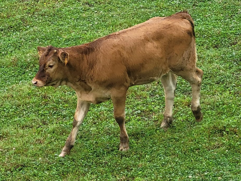hotel en cantabria encanto calderas interiores porche 10