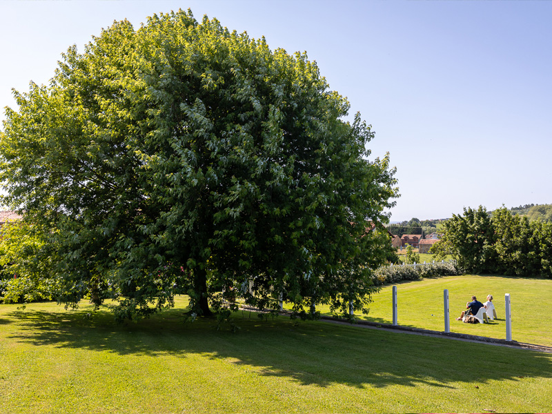 posada en cantabria hotel rural encanto galizano exteriores 10