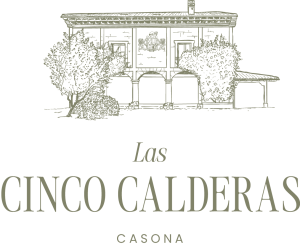 loco cinco calderas verde ocuro