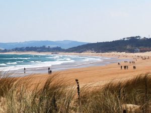 casona cinco calderas hotel boutique cantabria planes playas somo