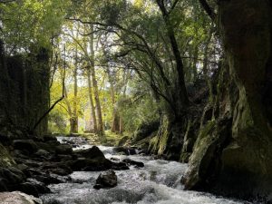 las cinco calderas planes naturaleza senderismo Fuente del Frances