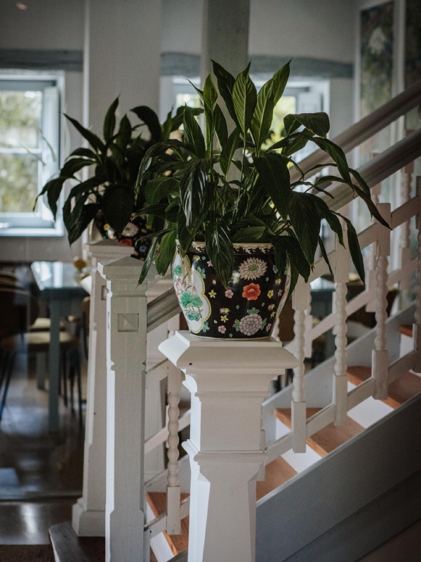 casona cinco calderas hotel boutique cantabria vertical