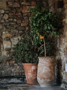 casona cinco calderas hotel boutique cantabria vertical