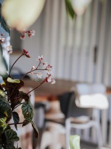 casona cinco calderas hotel boutique cantabria vertical